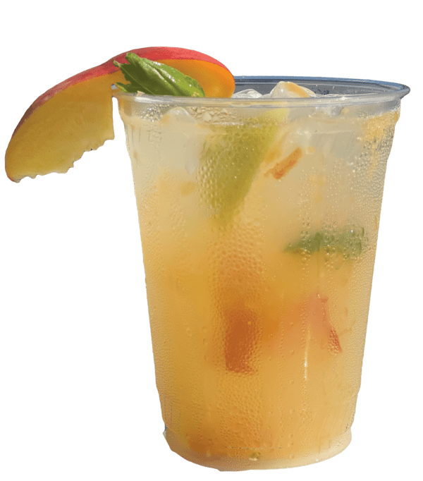 transparent_jacobsbeach-compressed
